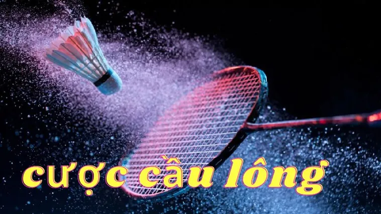 Cách Chơi Cá Cược Cầu Lông Tại 78WIN Nhanh Nhất