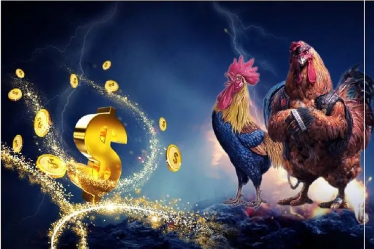 Cách Chơi Đá Gà 3D Tại 78WIN: Hướng Dẫn Chi Tiết