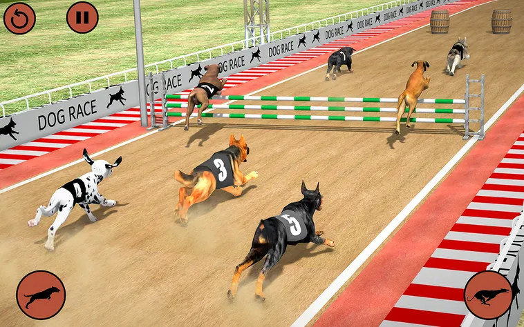 Cách Chơi Game Nhanh Đua Chó Tại 78WIN Nhanh Nhất