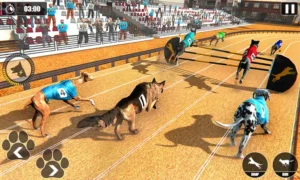 Cách Chơi Game Nhanh Đua Chó Tại 78WIN Nhanh Nhất